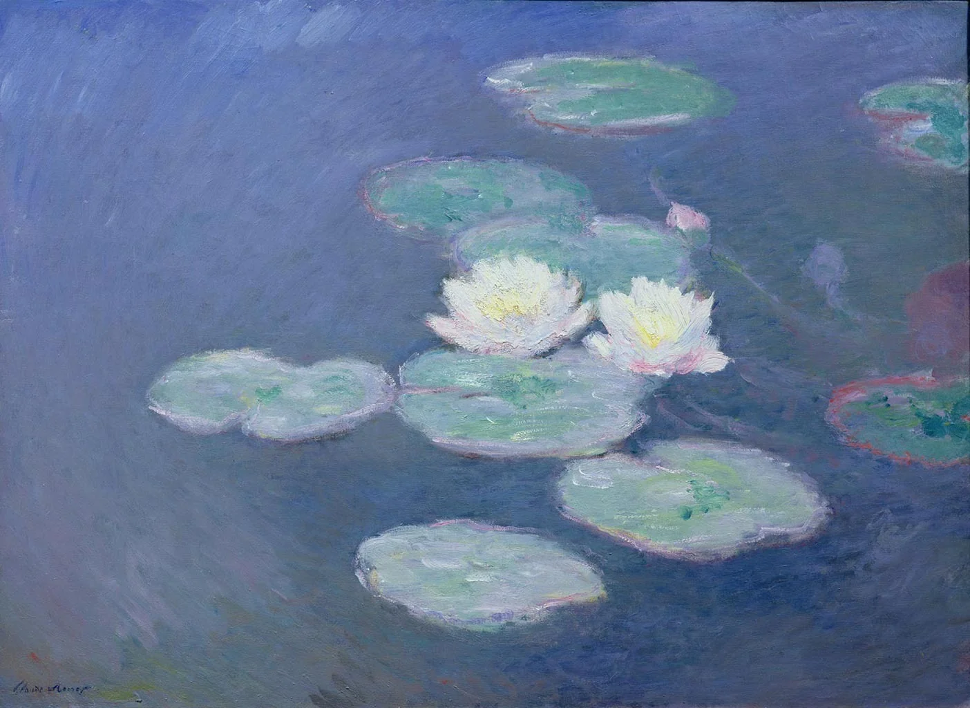 Nympheas, effect in the evening, detail