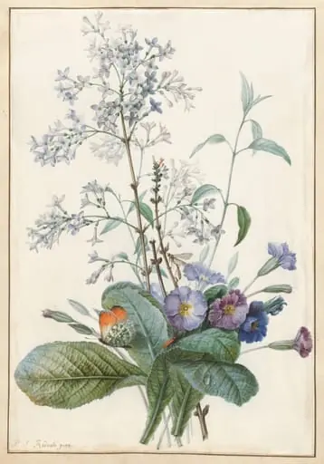 A Bouquet of Flowers with Insects, by Pierre Joseph Redouté, watercolor, 1800