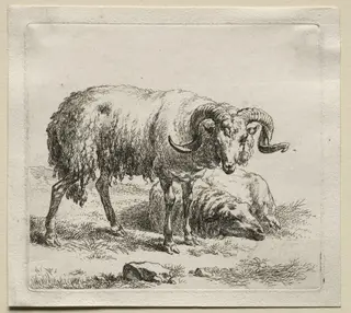 Animalia: Ram and Sheep, by Nicolaes Pieterszoon Berchem, 1659