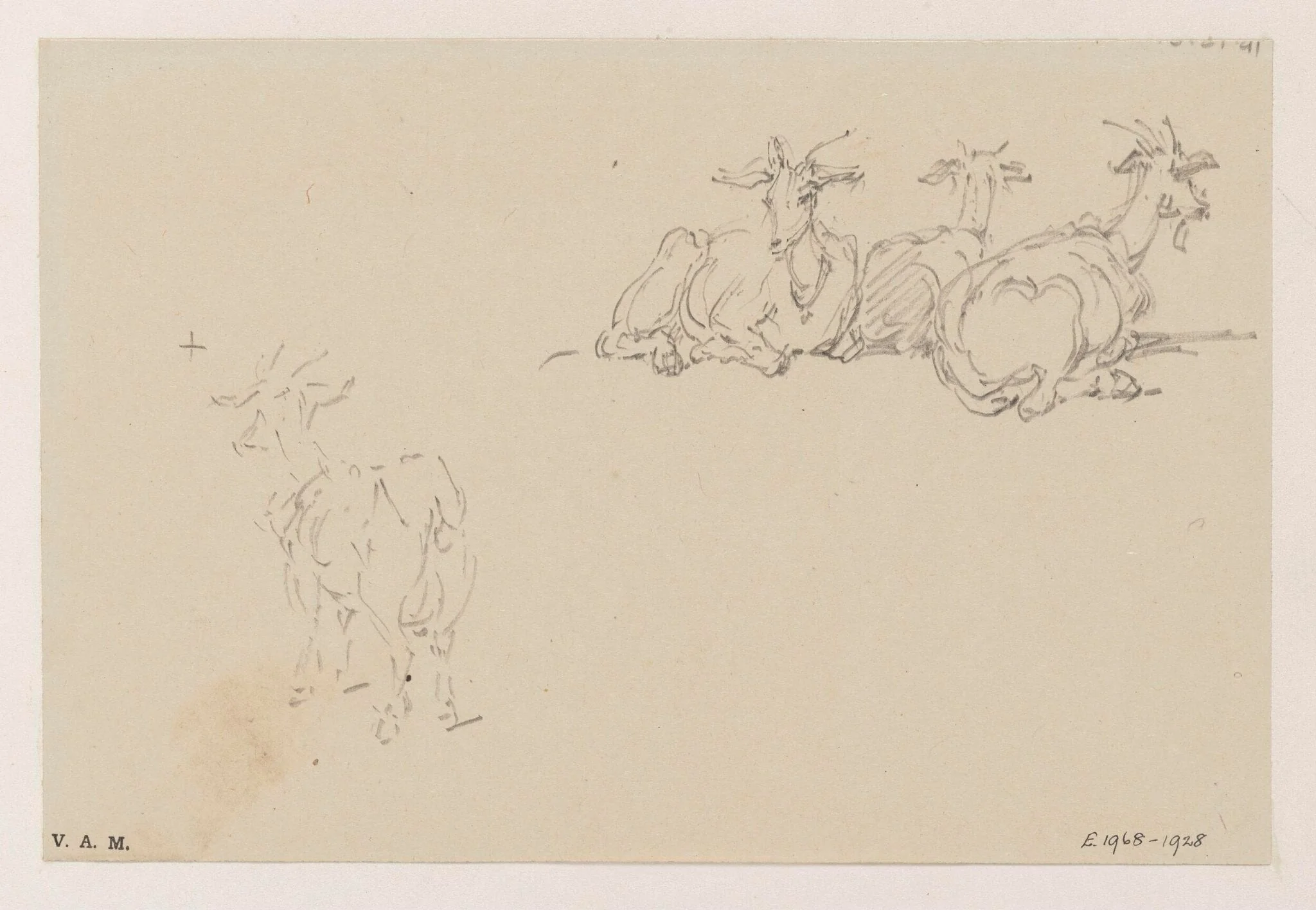 Studies of goats, detail