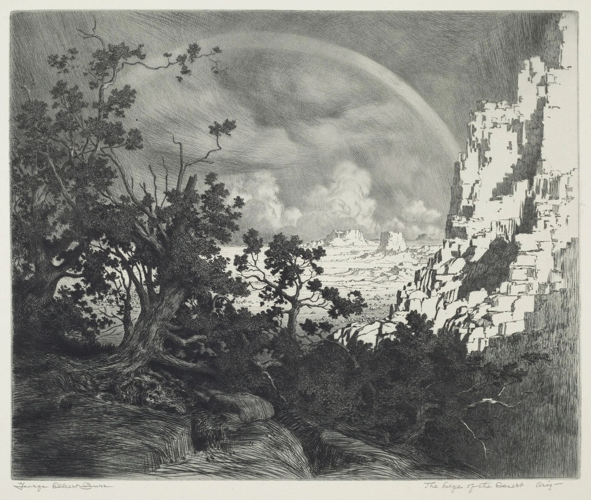 The Edge of the Desert, Arizona, detail