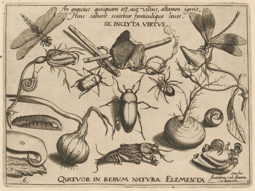 Archetypa studiaque patris Georgii Hoefnagelii [Part 3, Plate 6], by Jacob Hoefnagel, ink, 1592