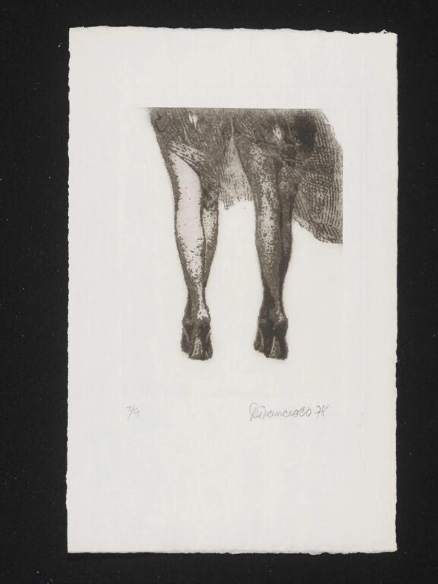 Legs, detail