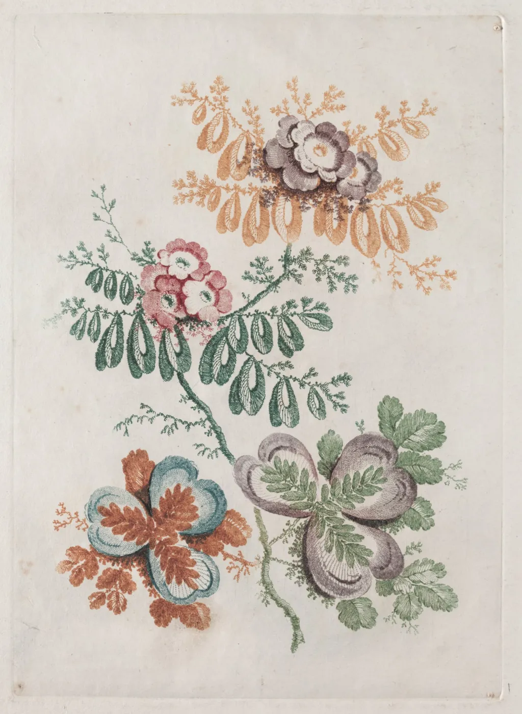 New Suite of Portfolios of Flowers Ideal to Use for Designing and Painting: Floral Fantasies, by Anne Allen