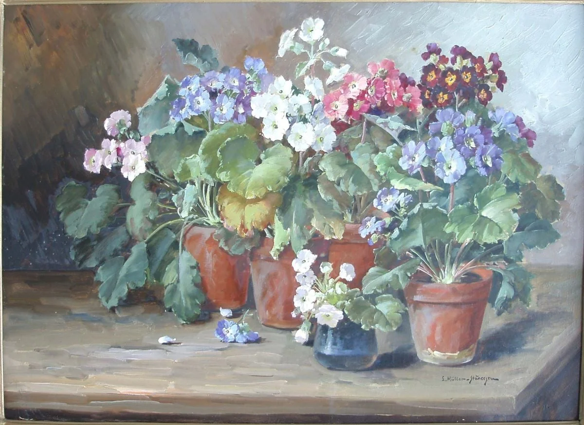 Flori (primule), detail