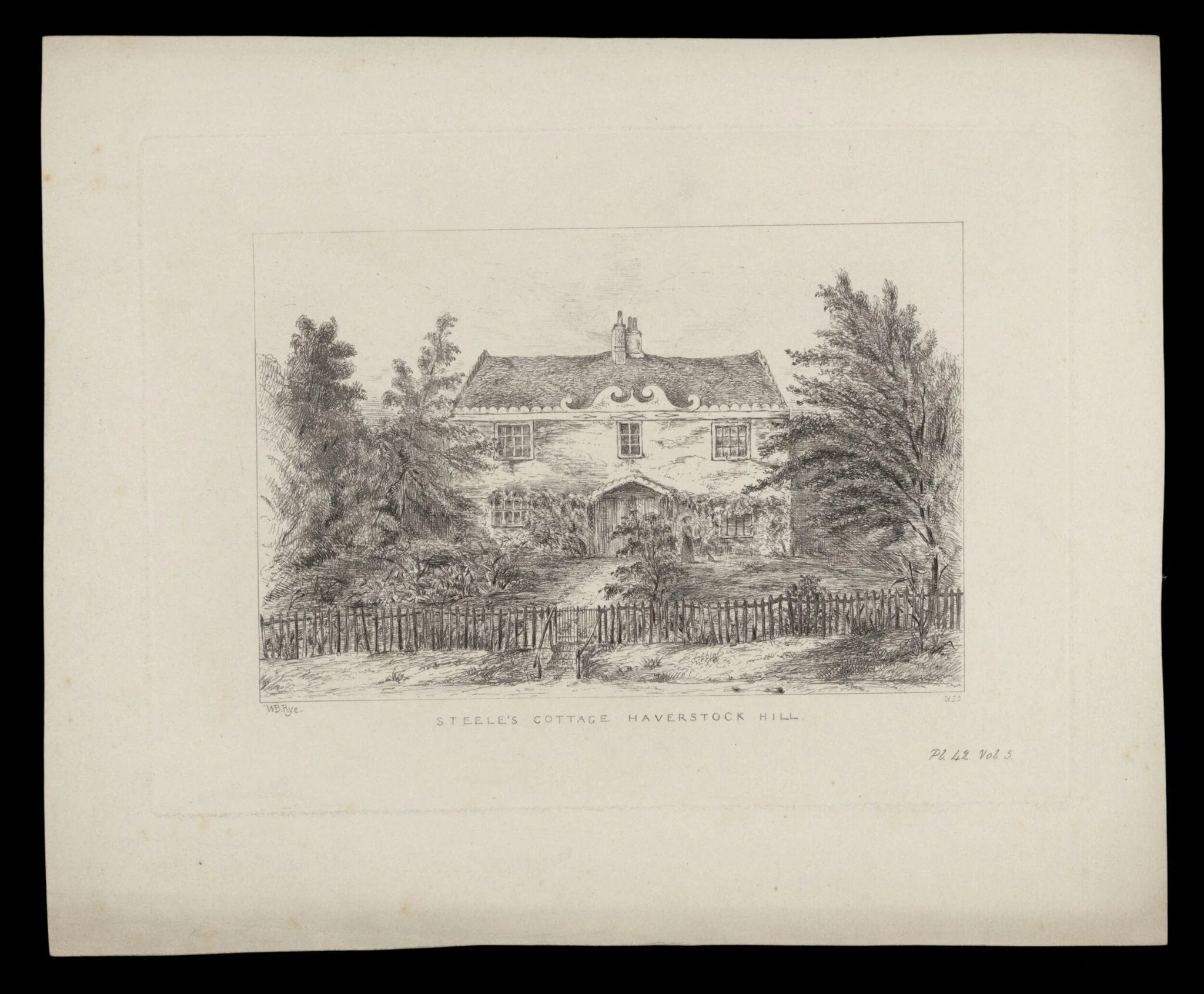 H Beard Print Collection, detail