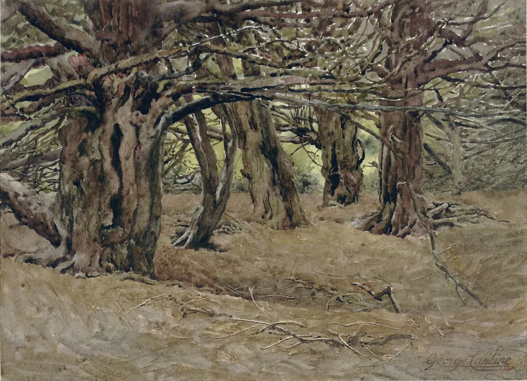 Yews in the Old Yews Wood, Earl of Radnor's Estate, near Salisbury, by George F. Carline, watercolor, 1875