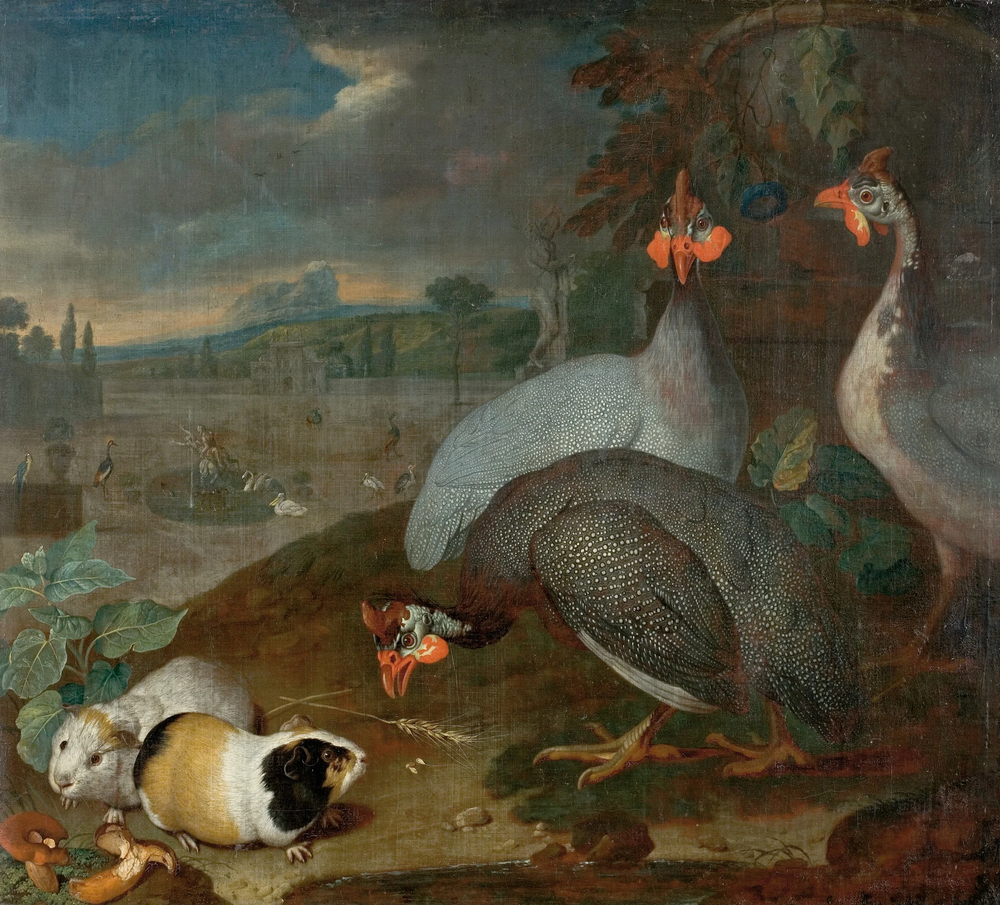 Guinea fowls with guinea pigs, detail