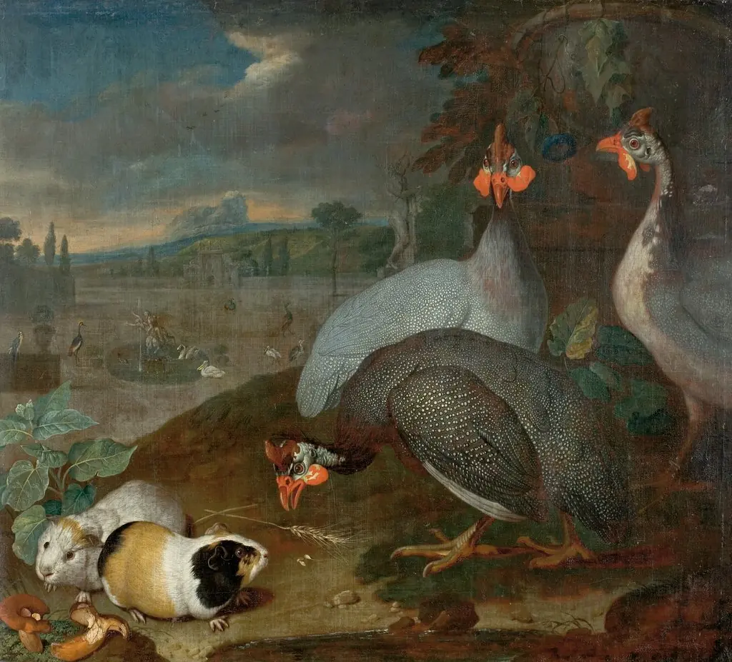 Guinea fowls  with guinea pigs, by Philipp Ferdinand de Hamilton, oil, 1725