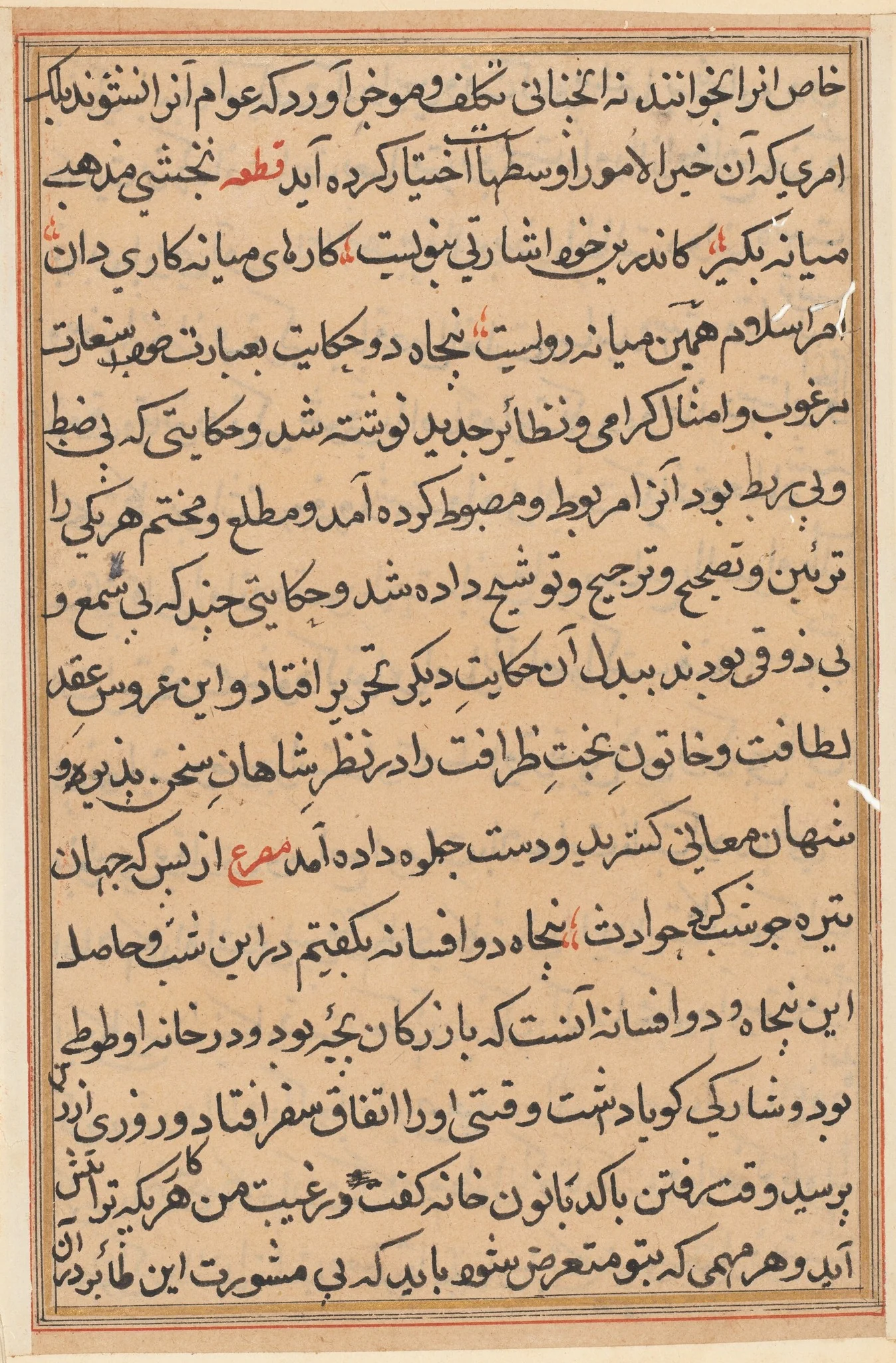 Page from Tales of a Parrot (Tuti-nama): text page, detail
