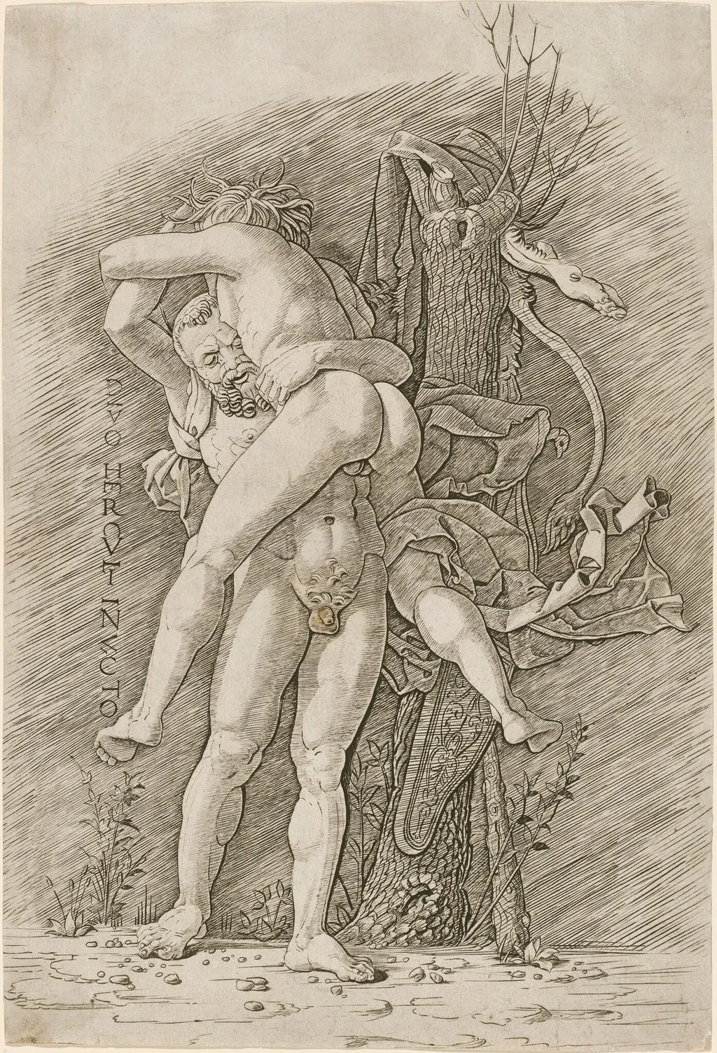 Hercules and Antaeus, by Andrea Mantegna, ink, 1495