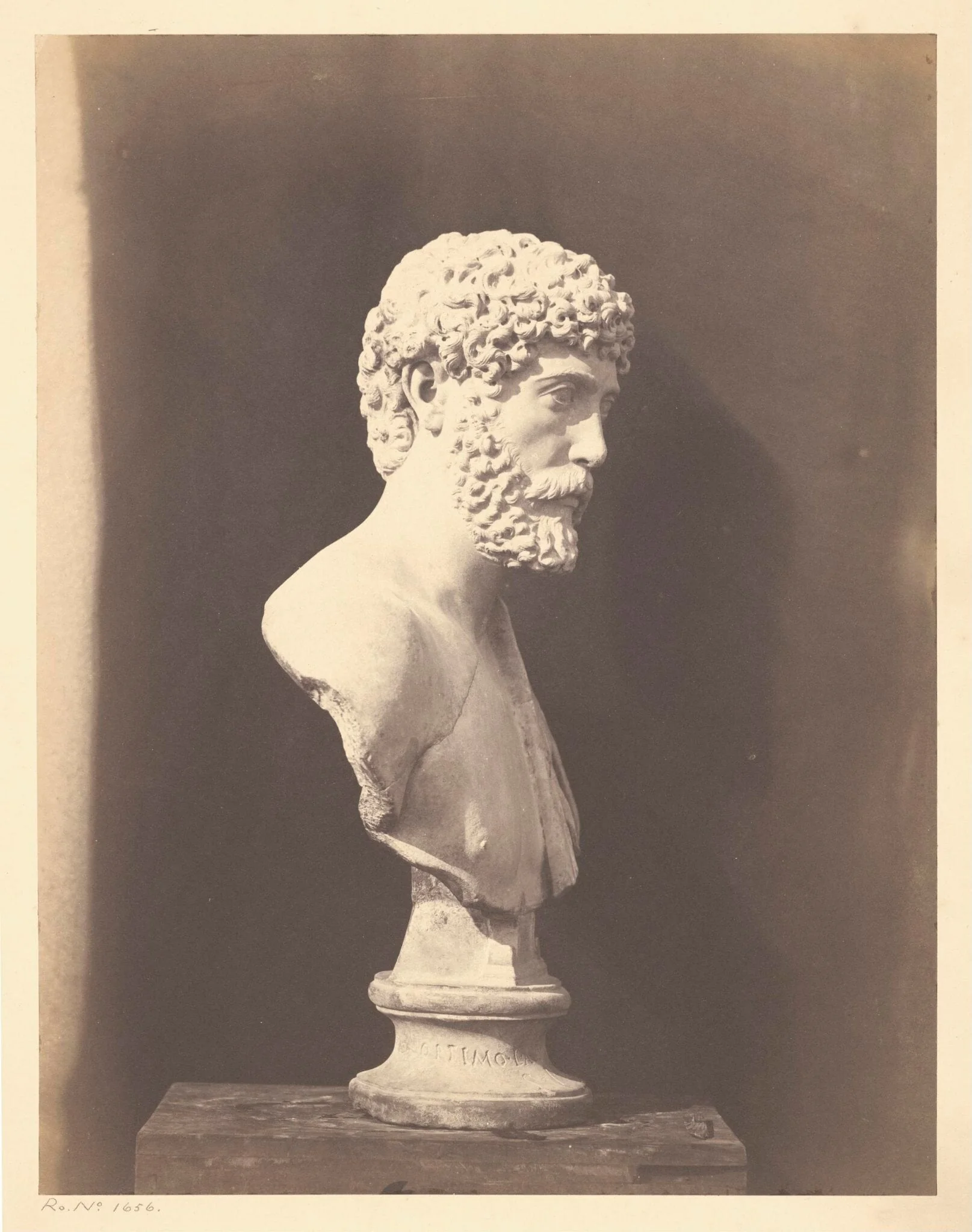 Portrait of Roman Male, detail