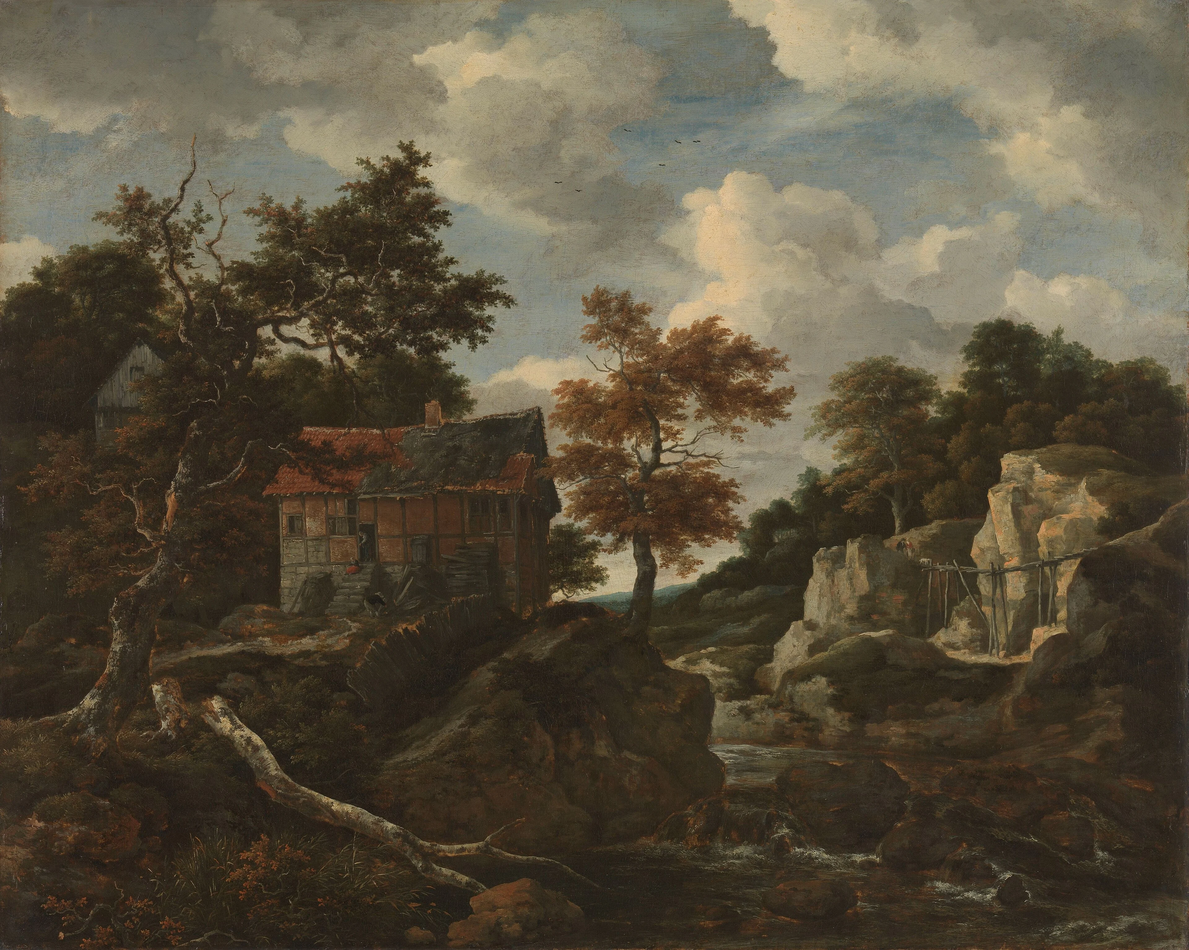 Rocky landscape, detail