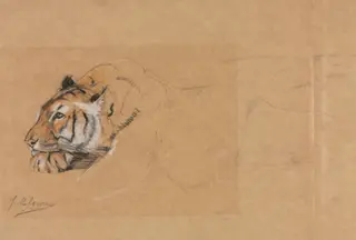 Tiger, by John Macallan Swan, 1886