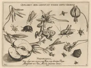Archetypa studiaque patris Georgii Hoefnagelii [Part 3, Plate 10], by Jacob Hoefnagel, ink, 1592