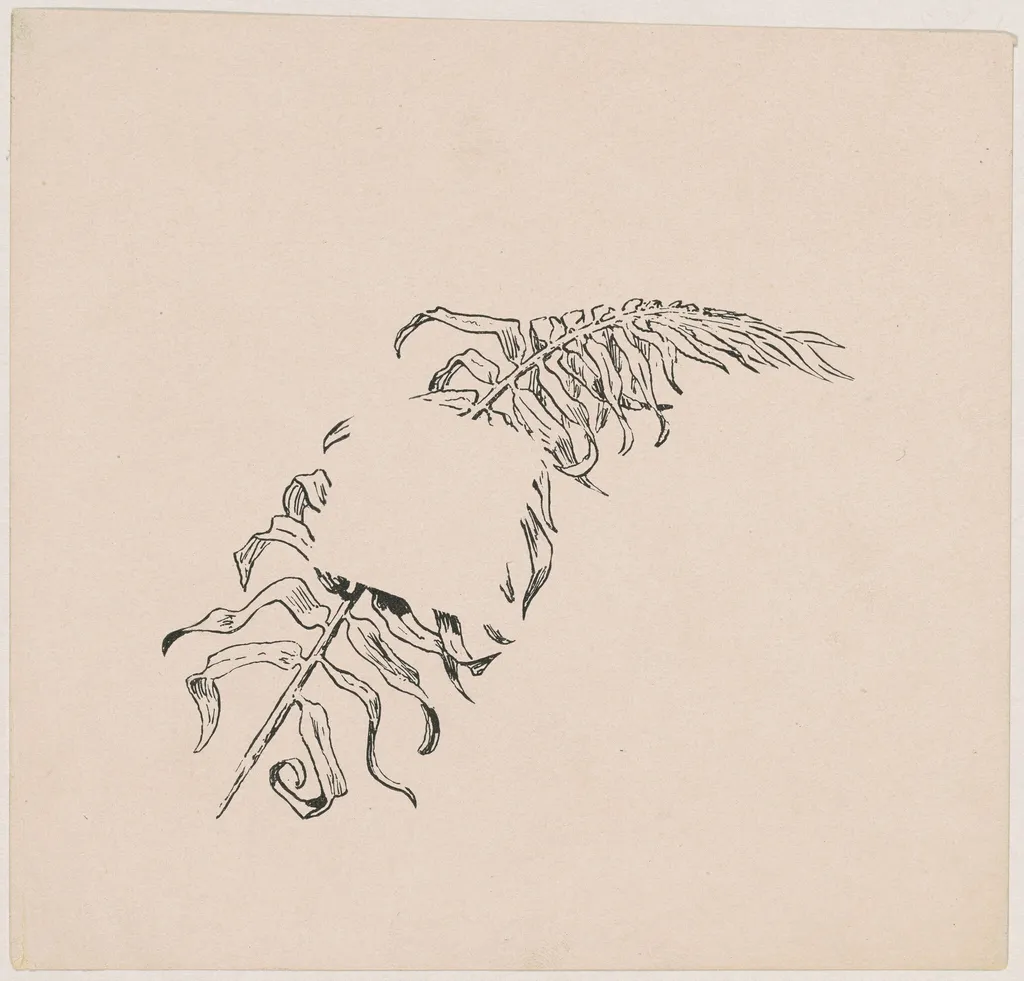 Branch, by James Henry Moser, ink, 1892