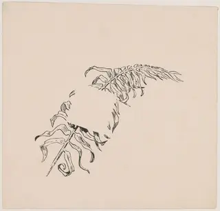 Branch, by James Henry Moser, ink, 1892