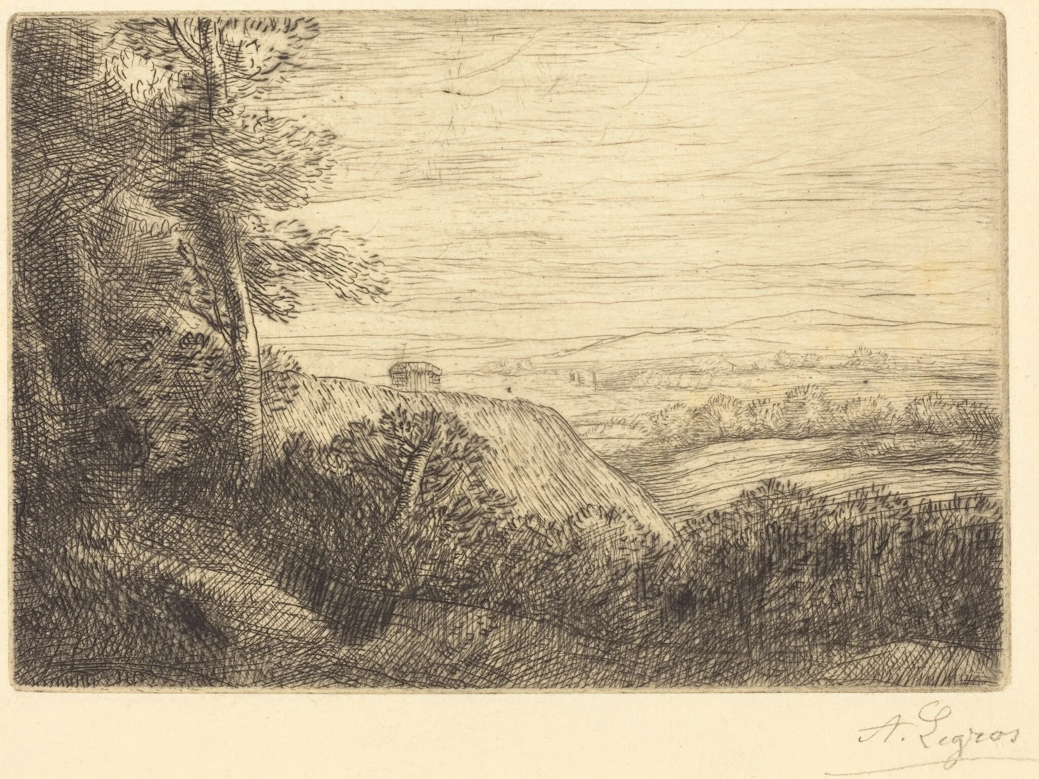 Last Rays (Les derniers rayons), detail