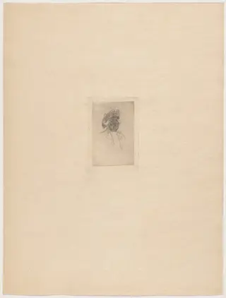 Cy-devant (Ex-Noble), by Félicien Rops, ink, 1895