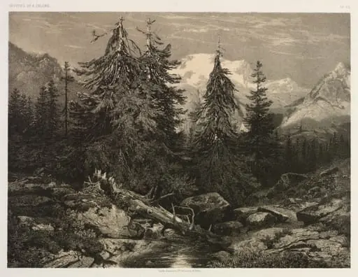 Alpine Stream, by Alexandre Calame, 1804