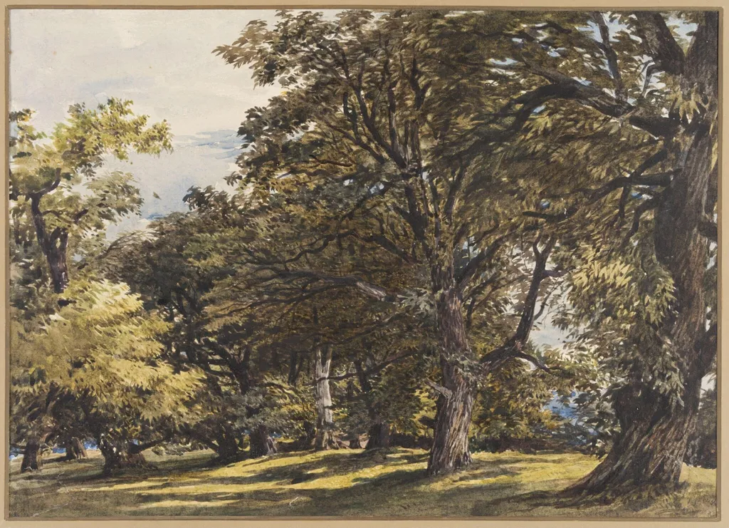 Study of Chestnut Trees, by Charles Claude Pyne, watercolor, 1850
