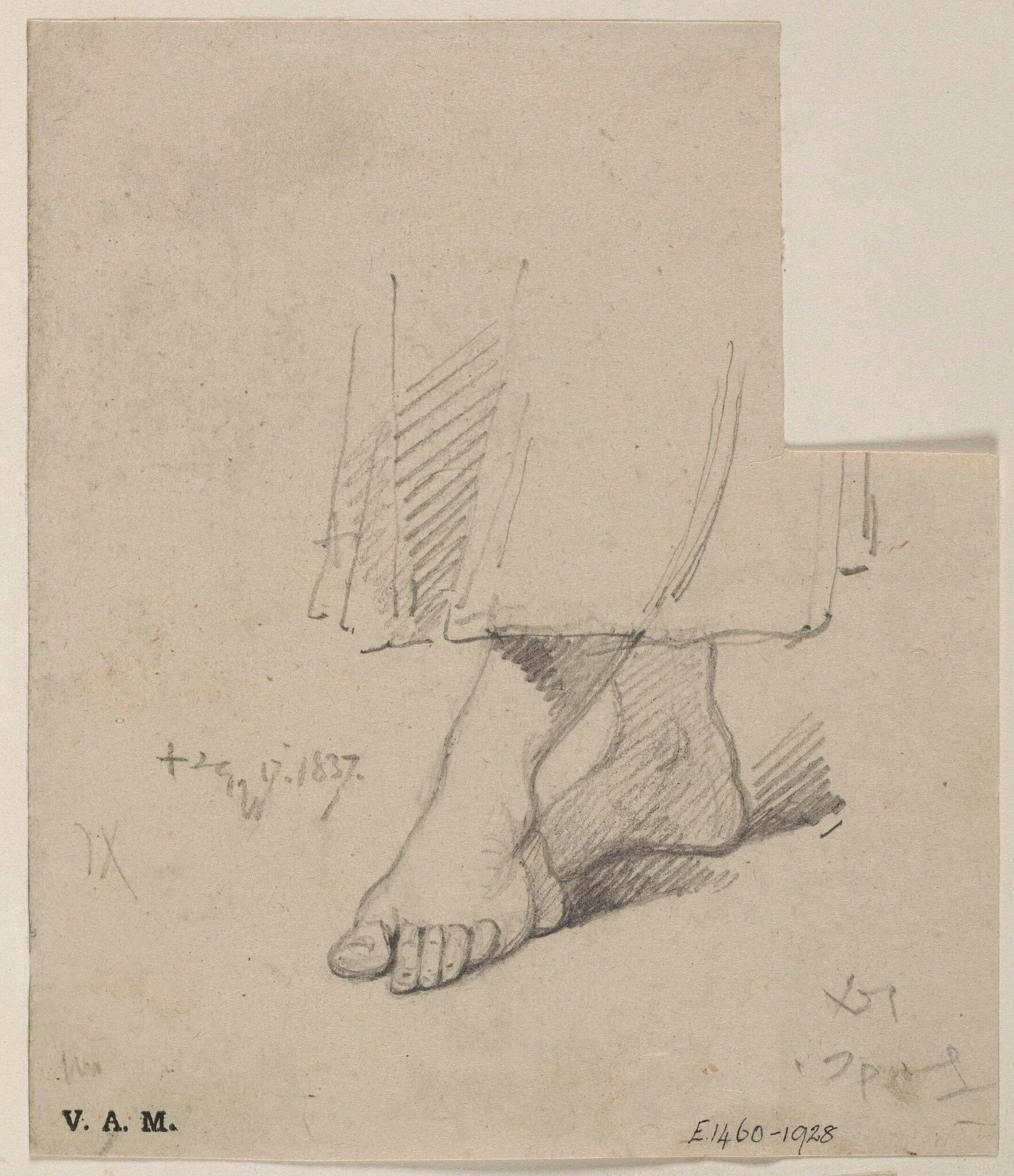 A woman's ankles and feet, detail