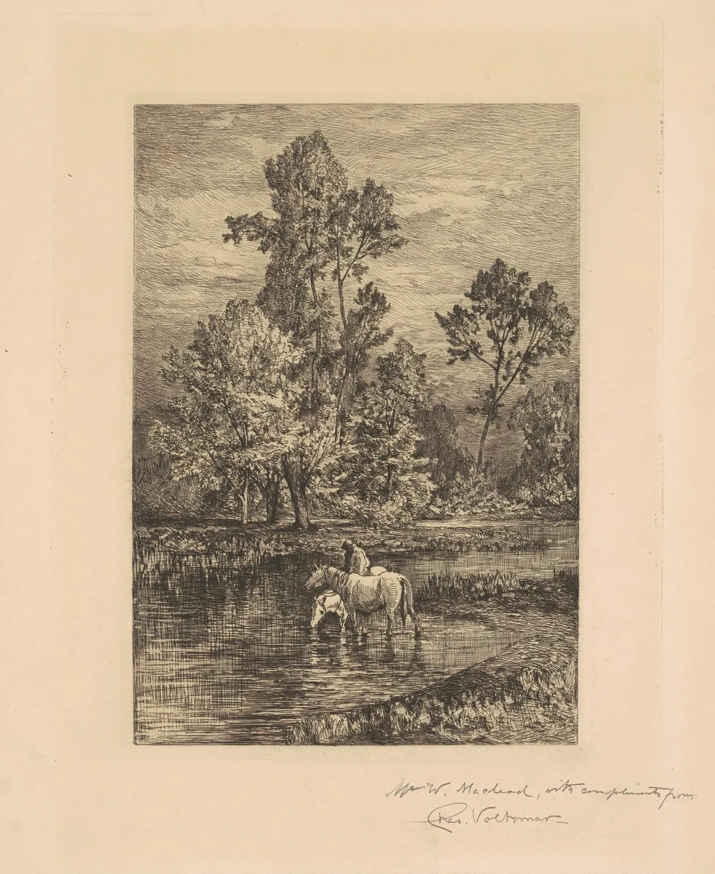 Landscape with Horses Drinking, by Charles Volkmar, ink, 1876
