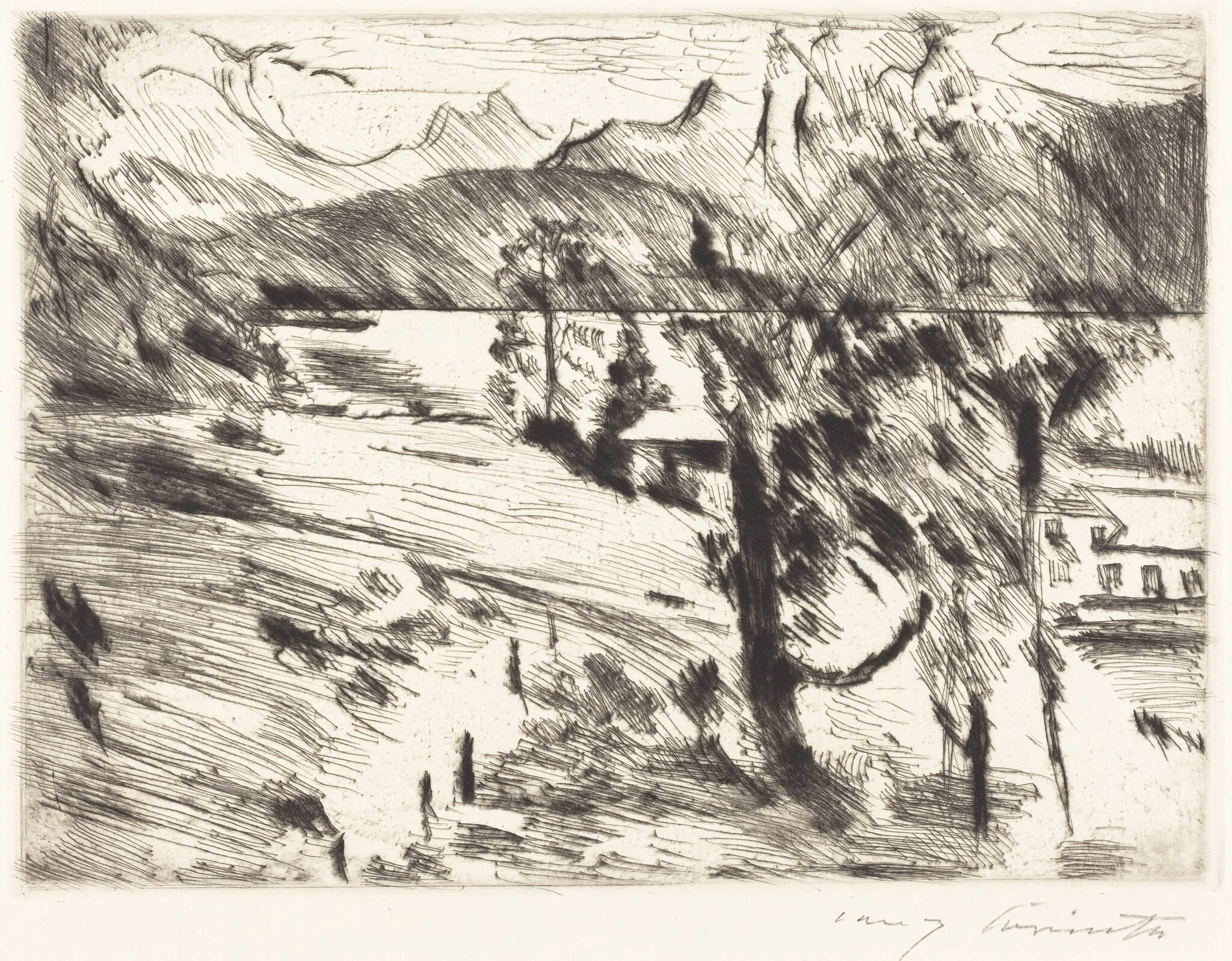 Walchensee landschaft (Walchensee Landscape), detail