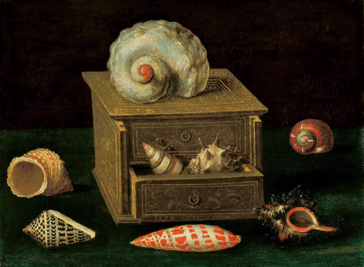 Stilleben mit Meerschnecken, detail