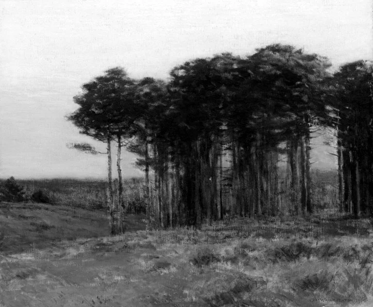 Connecticut Pines, detail