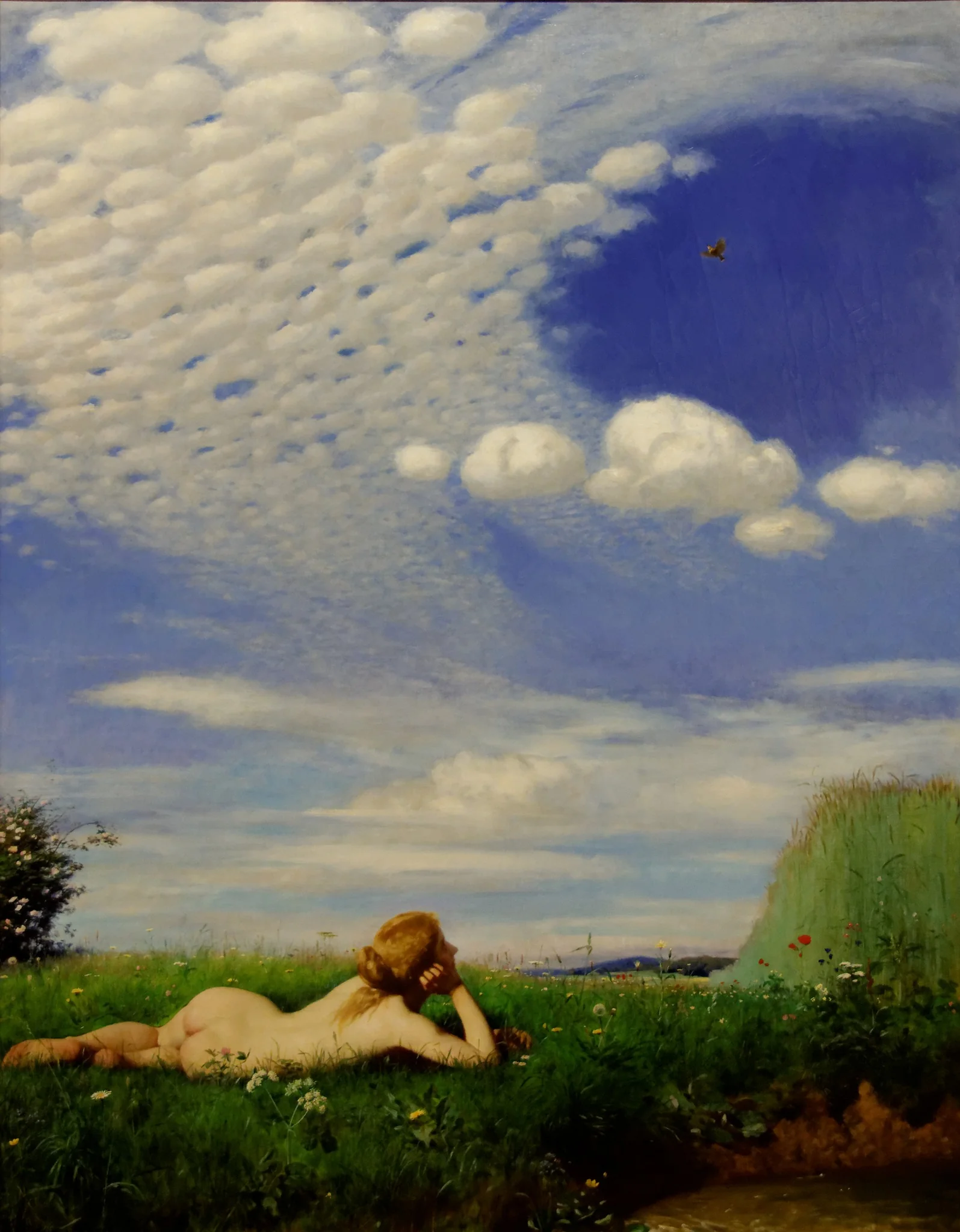 Skylark, detail