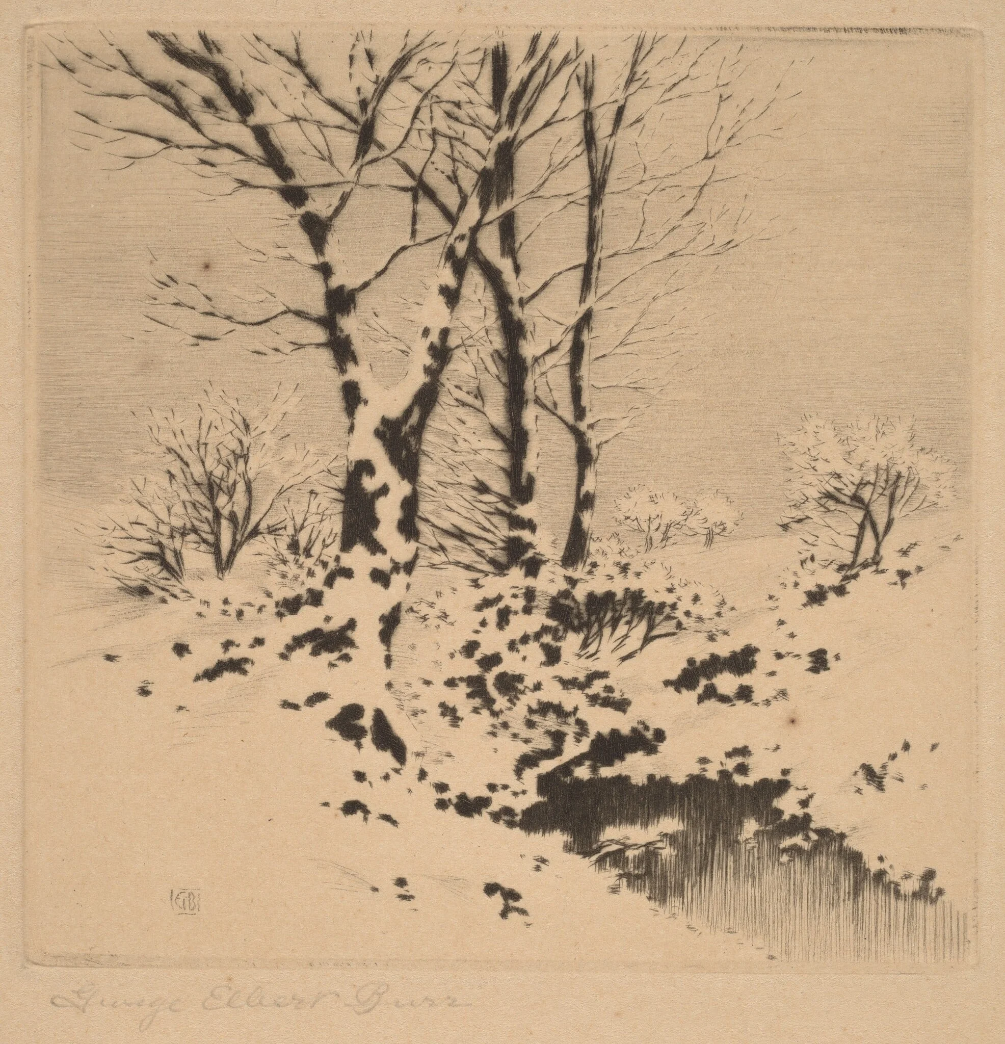 Snow, detail