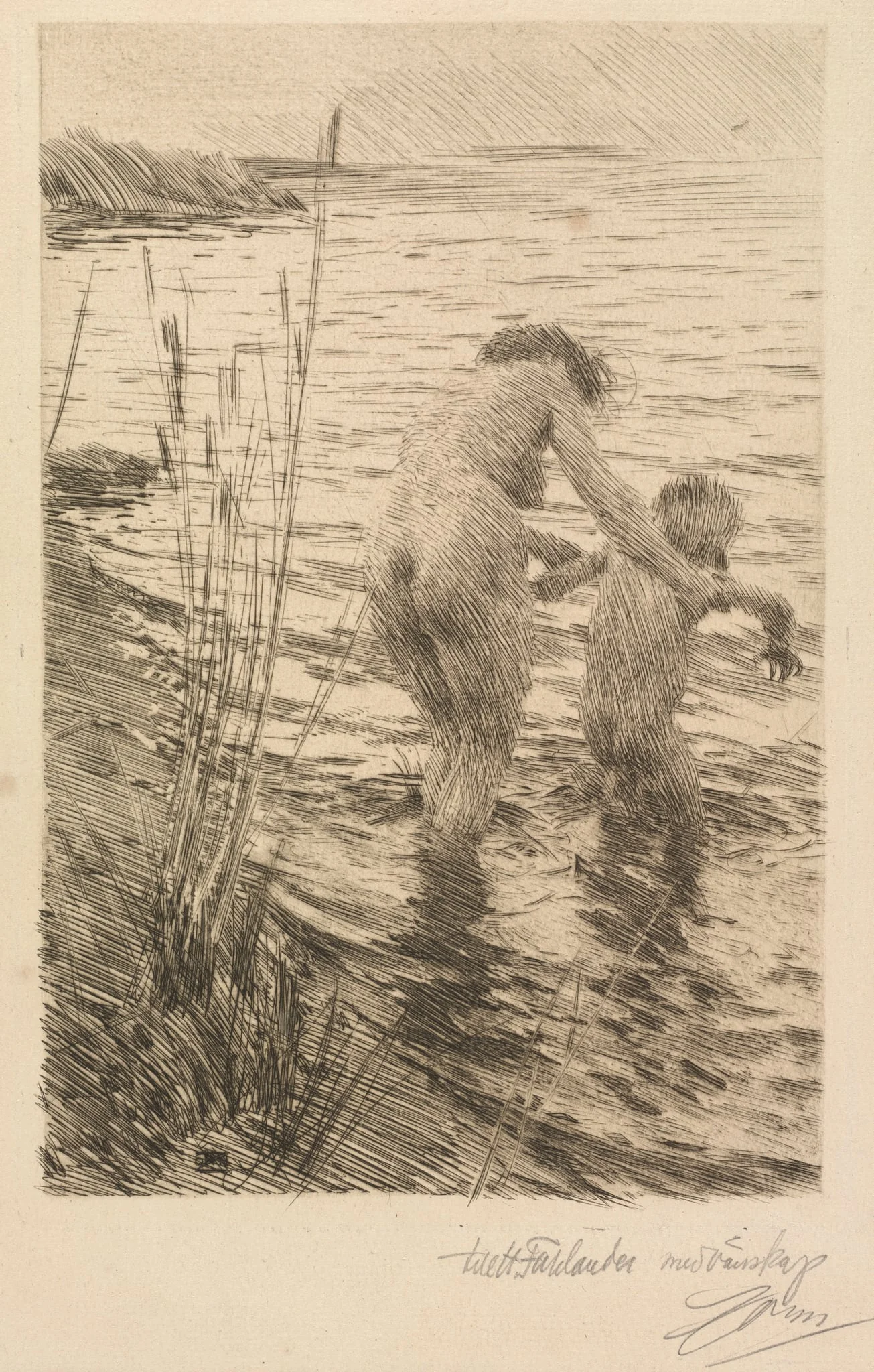 Première, detail