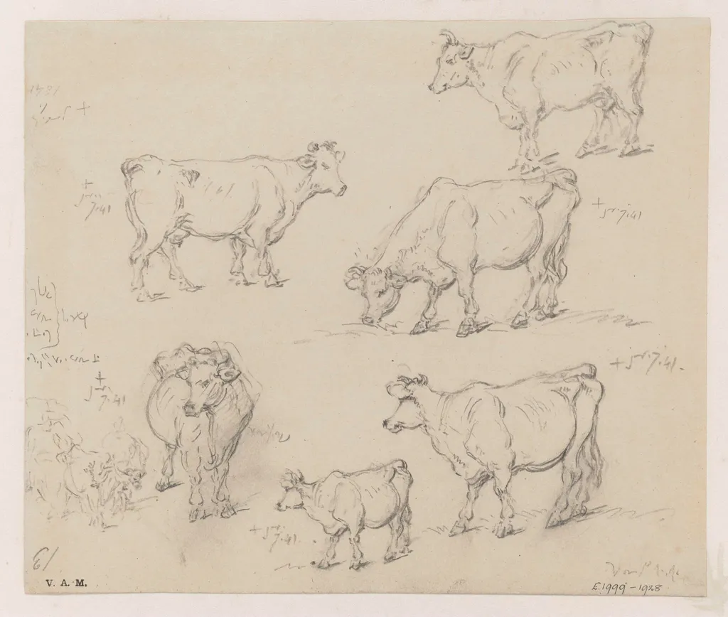 Drawings of cattle, by George Chinnery, 1