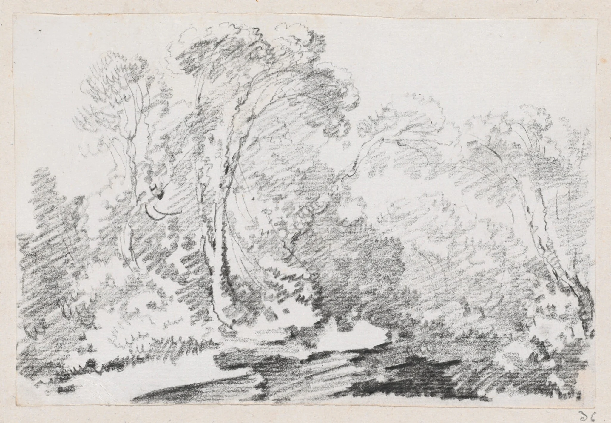 Trees, detail