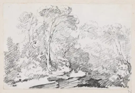 Trees, by Joseph-Marie Vien, graphite, 1747