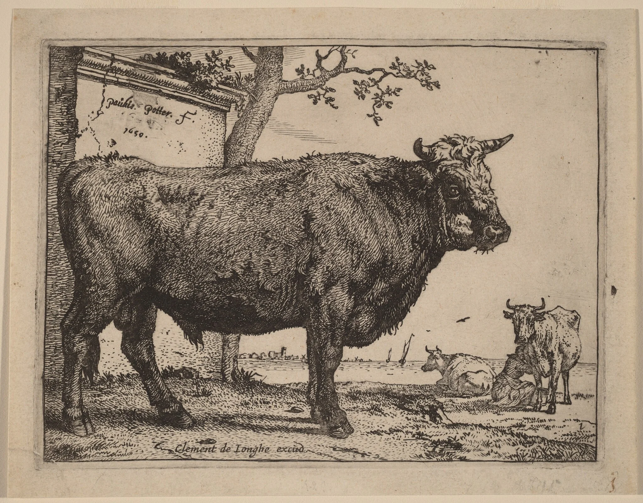 Bull, detail