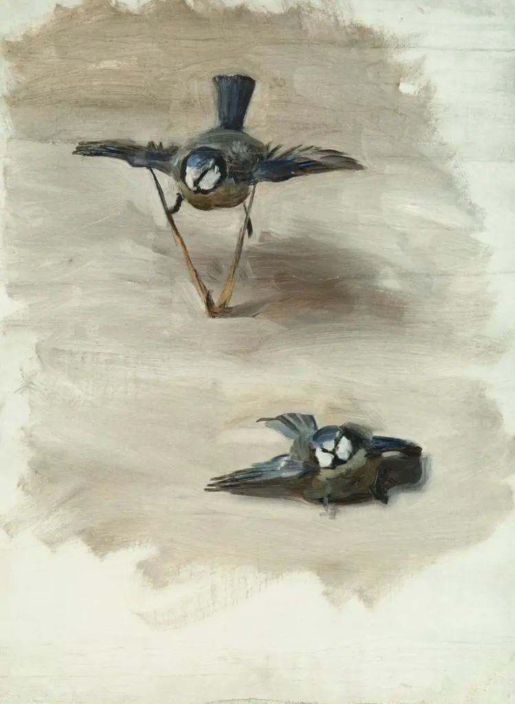 Studies of a Dead Bird, by John Singer Sargent, oil, 1890