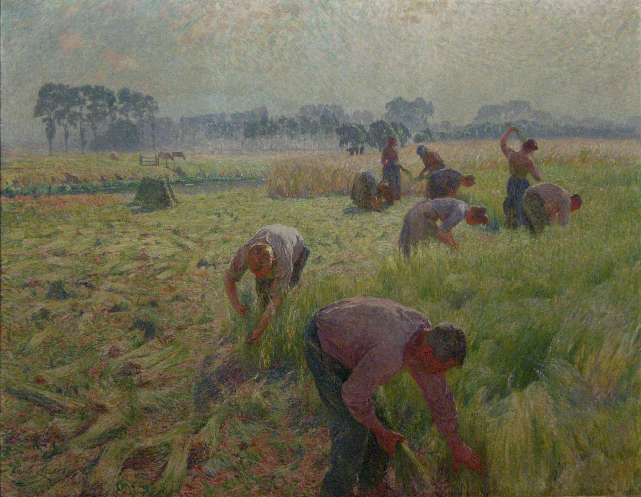 Flax harvesting, detail