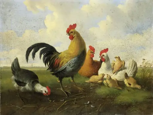 A rooster with Hens and Chicks, by Albertus Verhoesen, unspecified, 1855