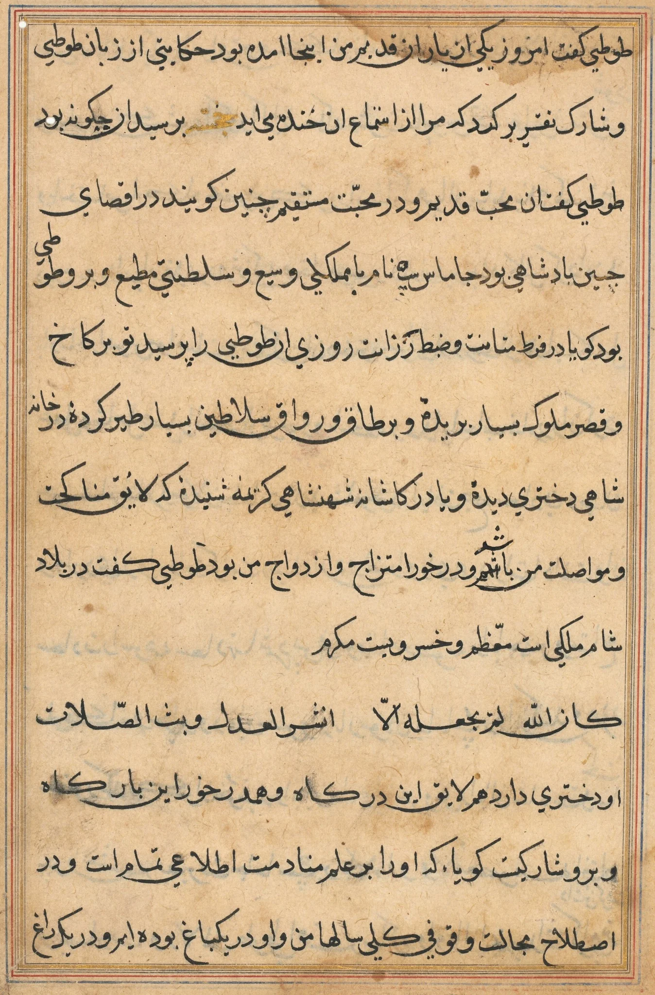 Page from Tales of a Parrot (Tuti-nama): text page, detail