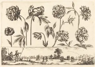Flower Print no.7, by Nicolas Cochin, ink, 1645