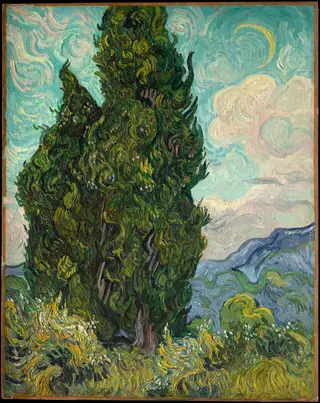 Cypresses, by Vincent van Gogh, oil, 1889