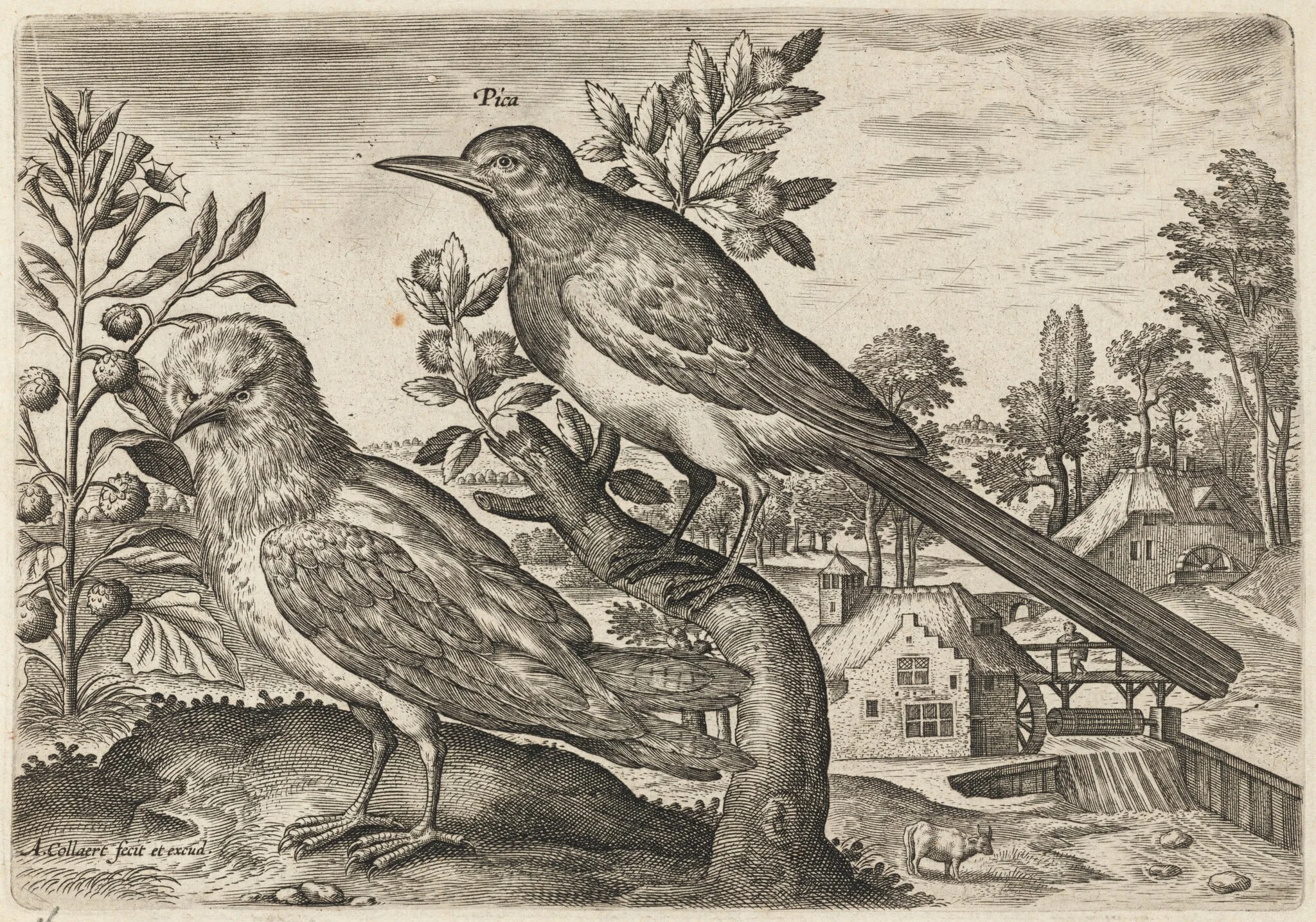 Magpie and Another Bird, detail