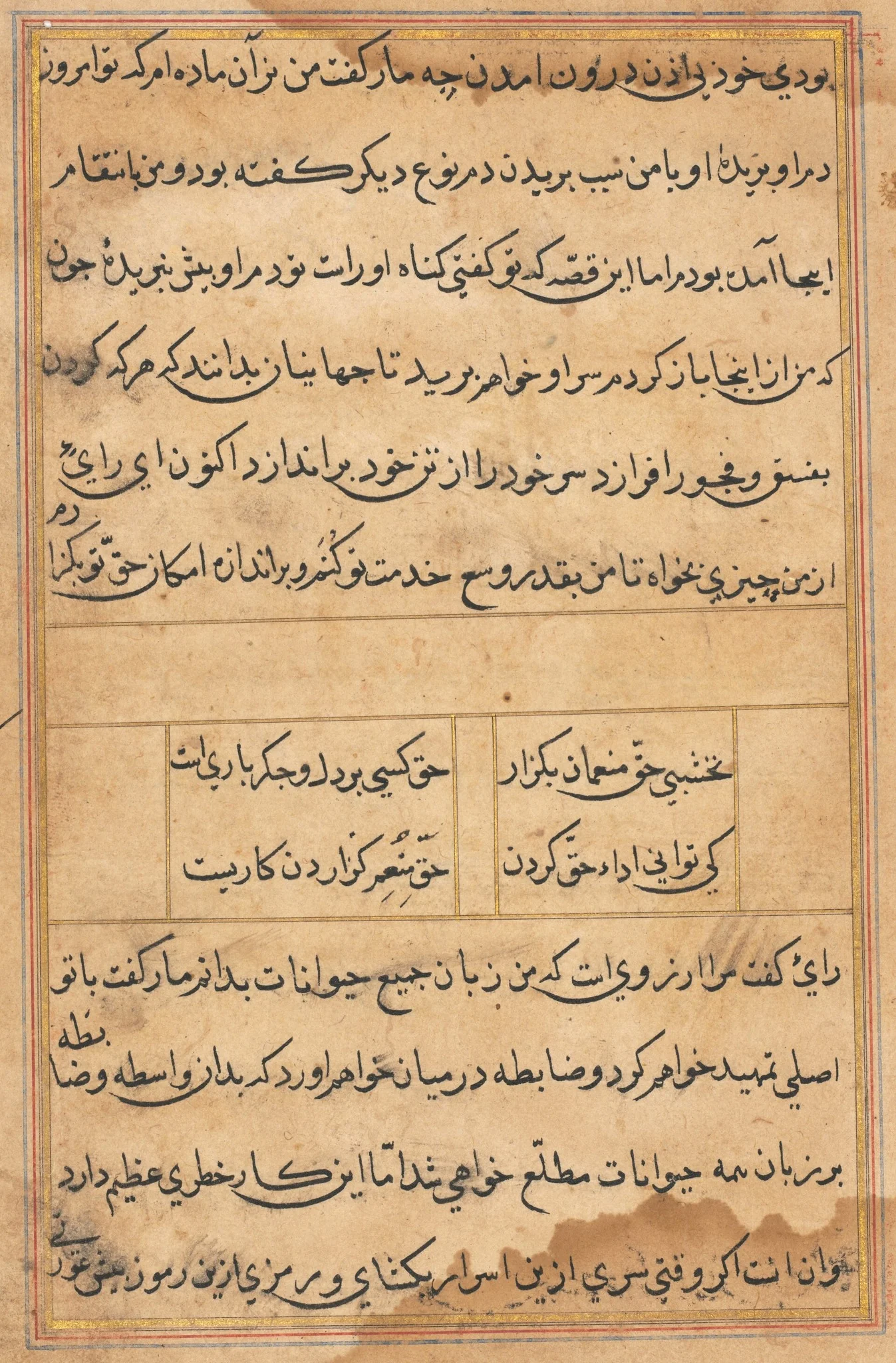 Page from Tales of a Parrot (Tuti-nama): text page, detail