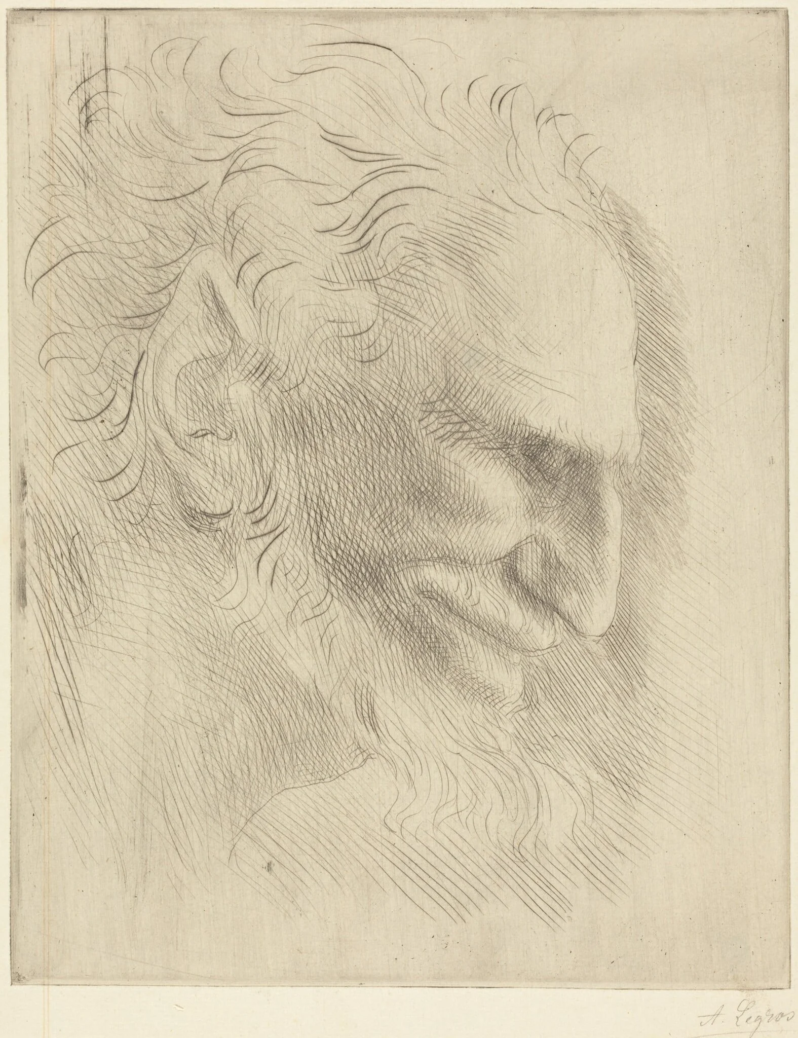 Study for the Head of a Man (Etude de tete d'homme), detail