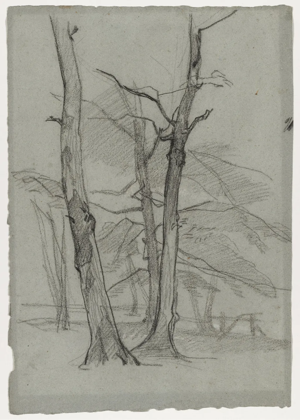 Landscape Study with Trees, by Thomas Couture, 1872