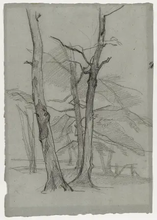 Landscape Study with Trees, by Thomas Couture, 1872