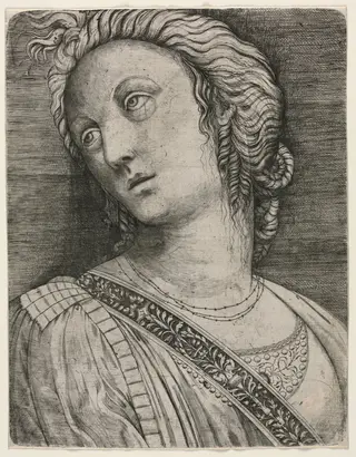 Bust of a Woman, by Jacopo de' Barbari, 1509