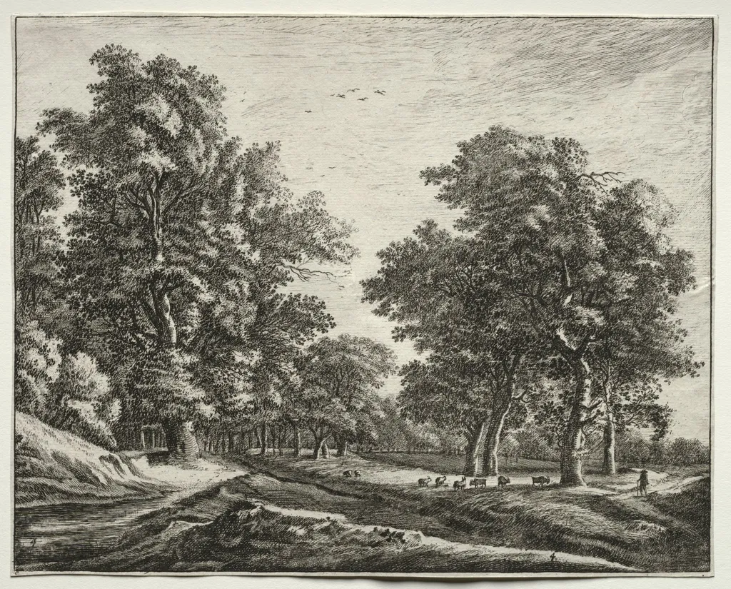 Six views in the Wood of the Hague: Plate 4, Goats Under the Trees, by Roelant Roghman, 1646